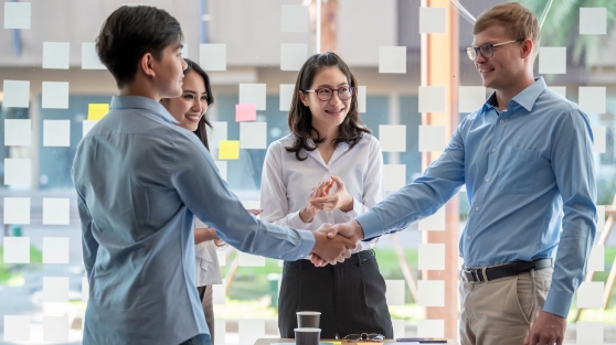 Transparent Collaboration