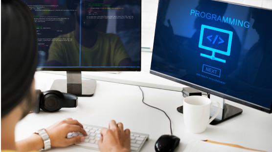 SharePoint Customisation and Development